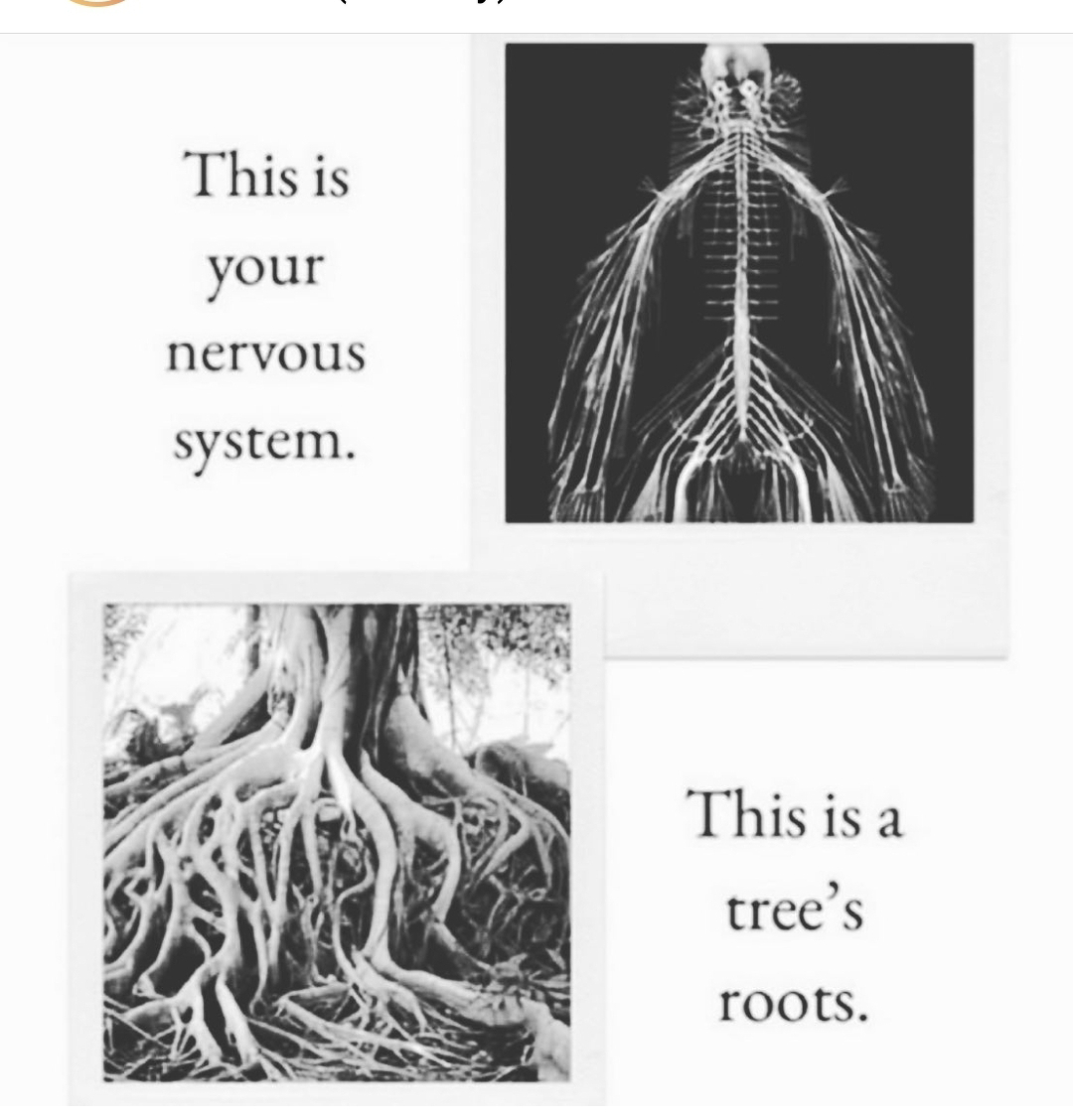 I Prescribe, being dutiful and disciplined with the small things