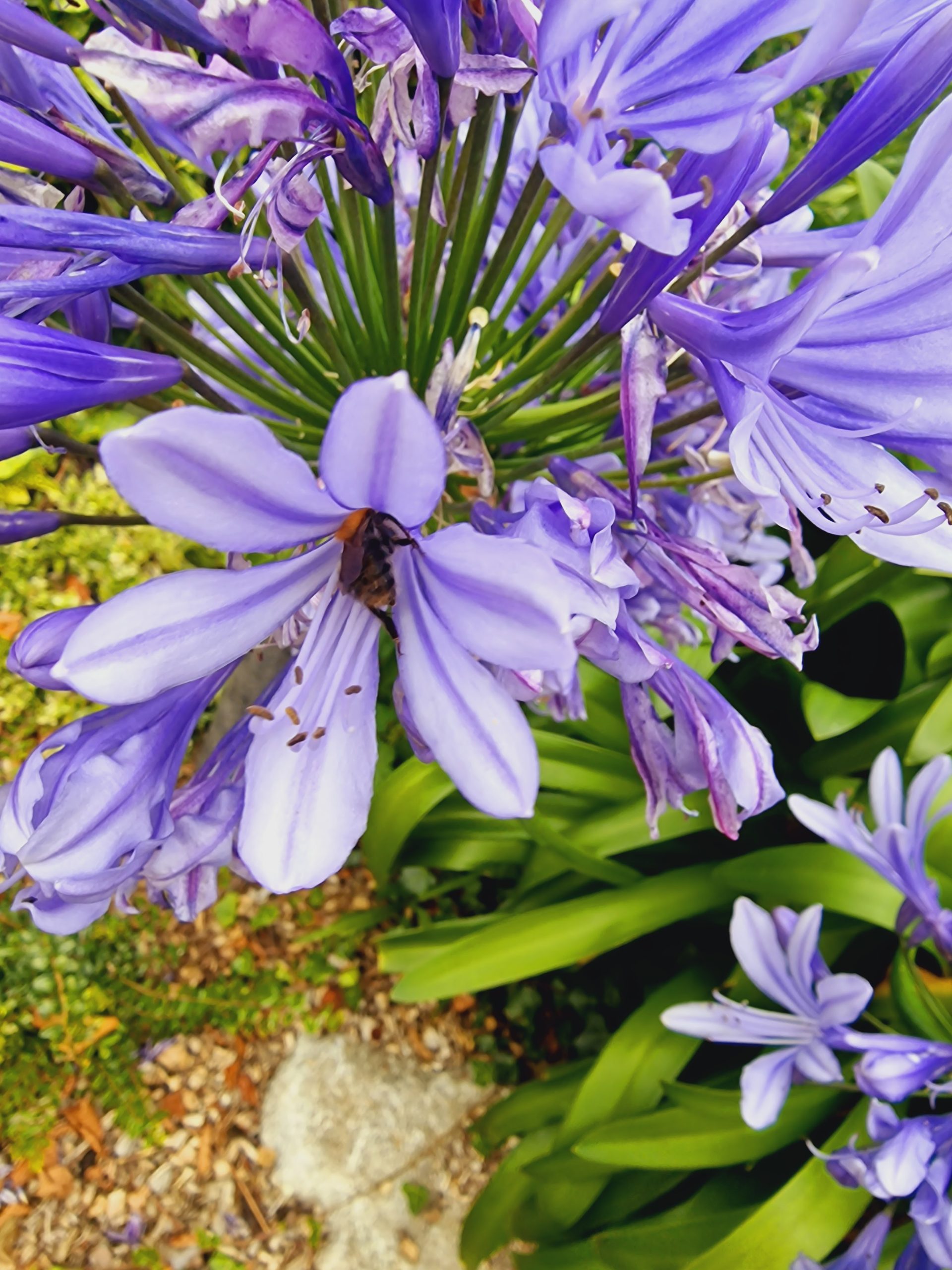 I Prescribe : Controlling women ???